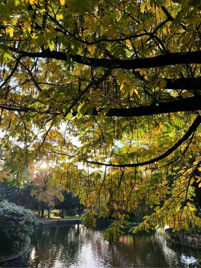 add-Lincoln-Arboretum-to-a-weekend-itinerary