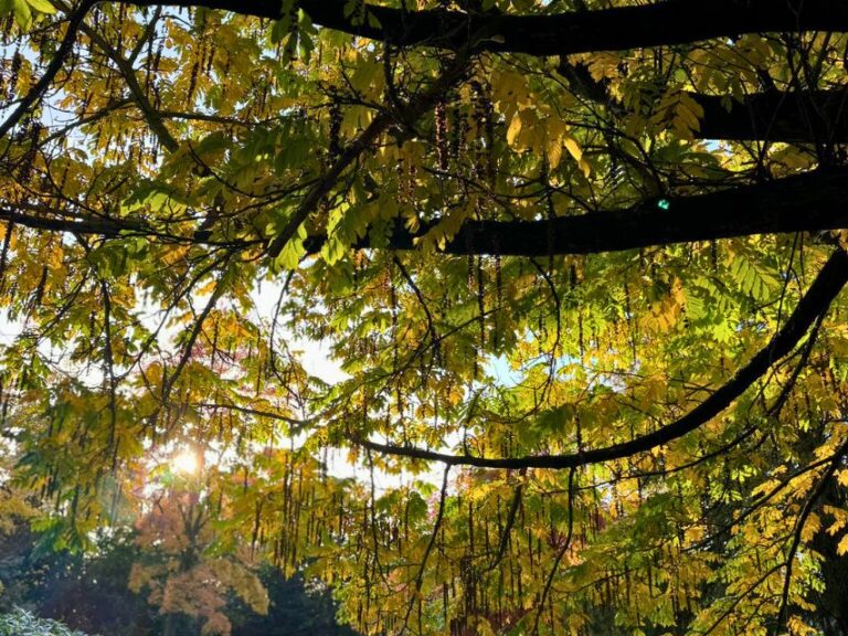 Nature-Parks-in-Lincoln-Feature