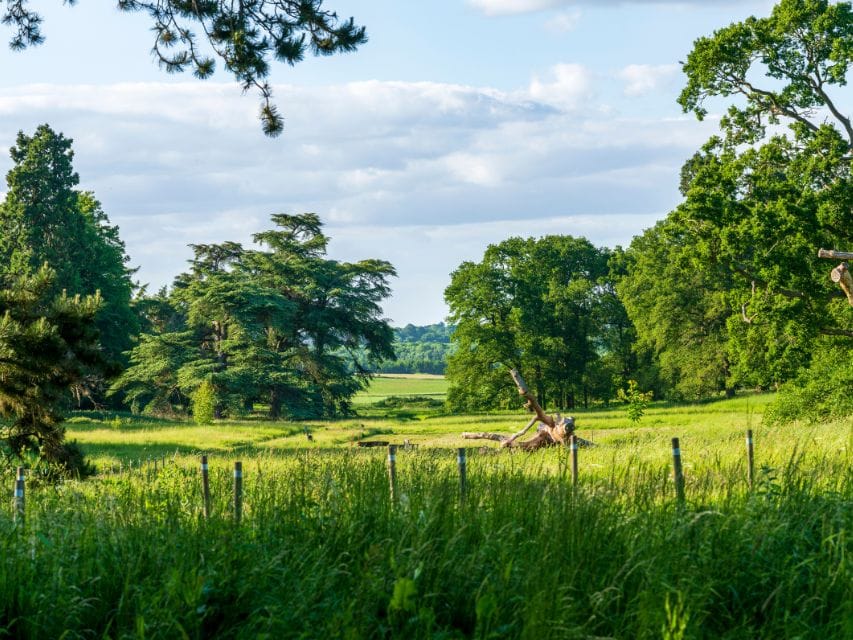 Highwoods Country Park, Colchester