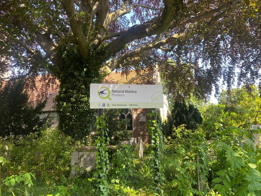 Natural History Museum in Colchester
